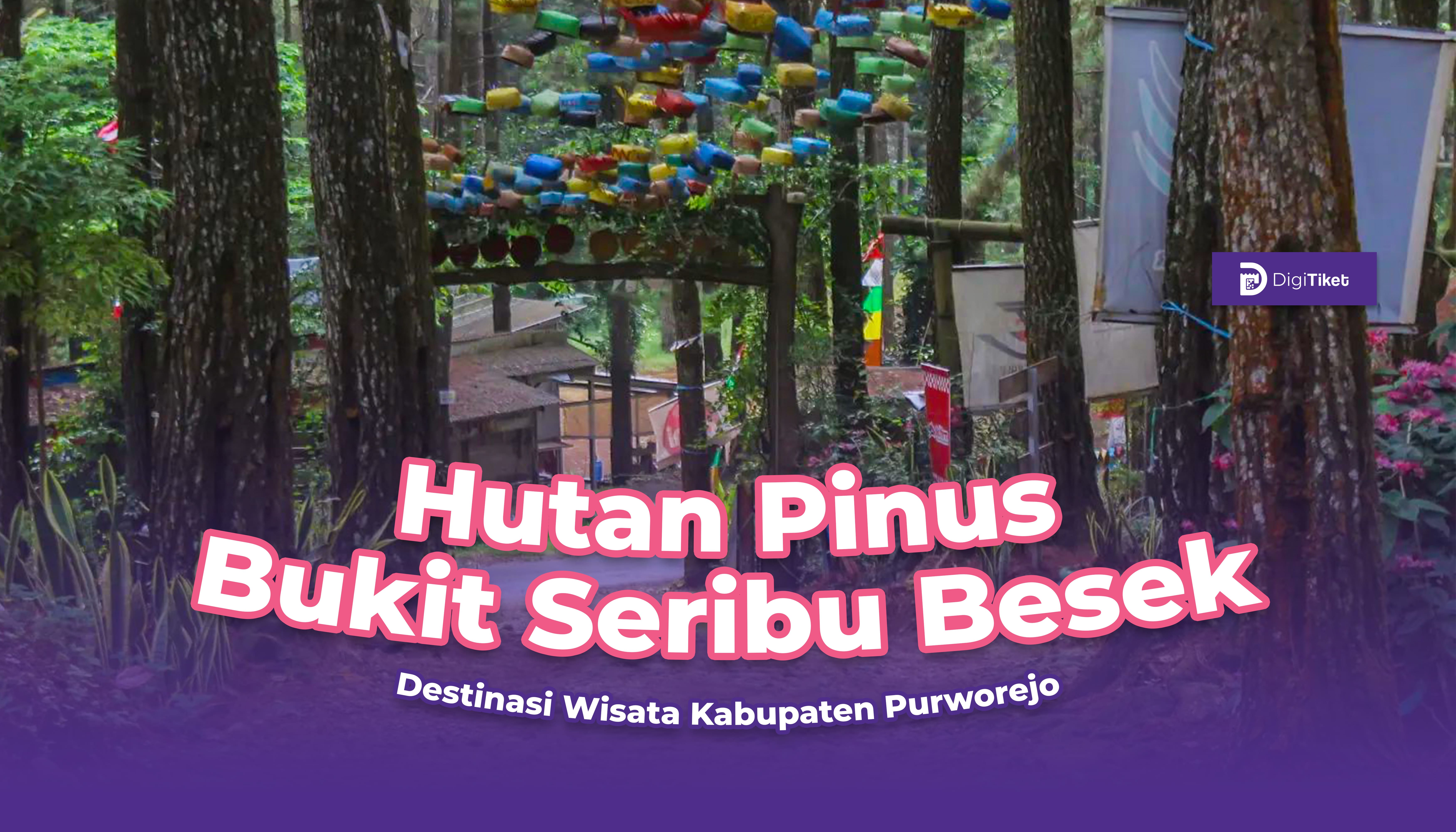 Wisata hutan pinus Bukit Seribu Besek