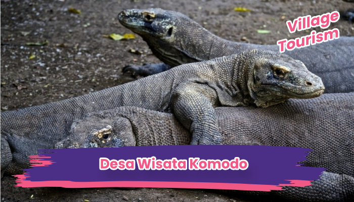 Desa Wisata Komodo