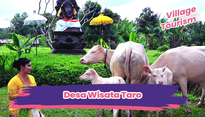 Desa Wisata Taro