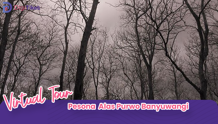 Virtual Tour Pesona Alas Purwo Banyuwangi