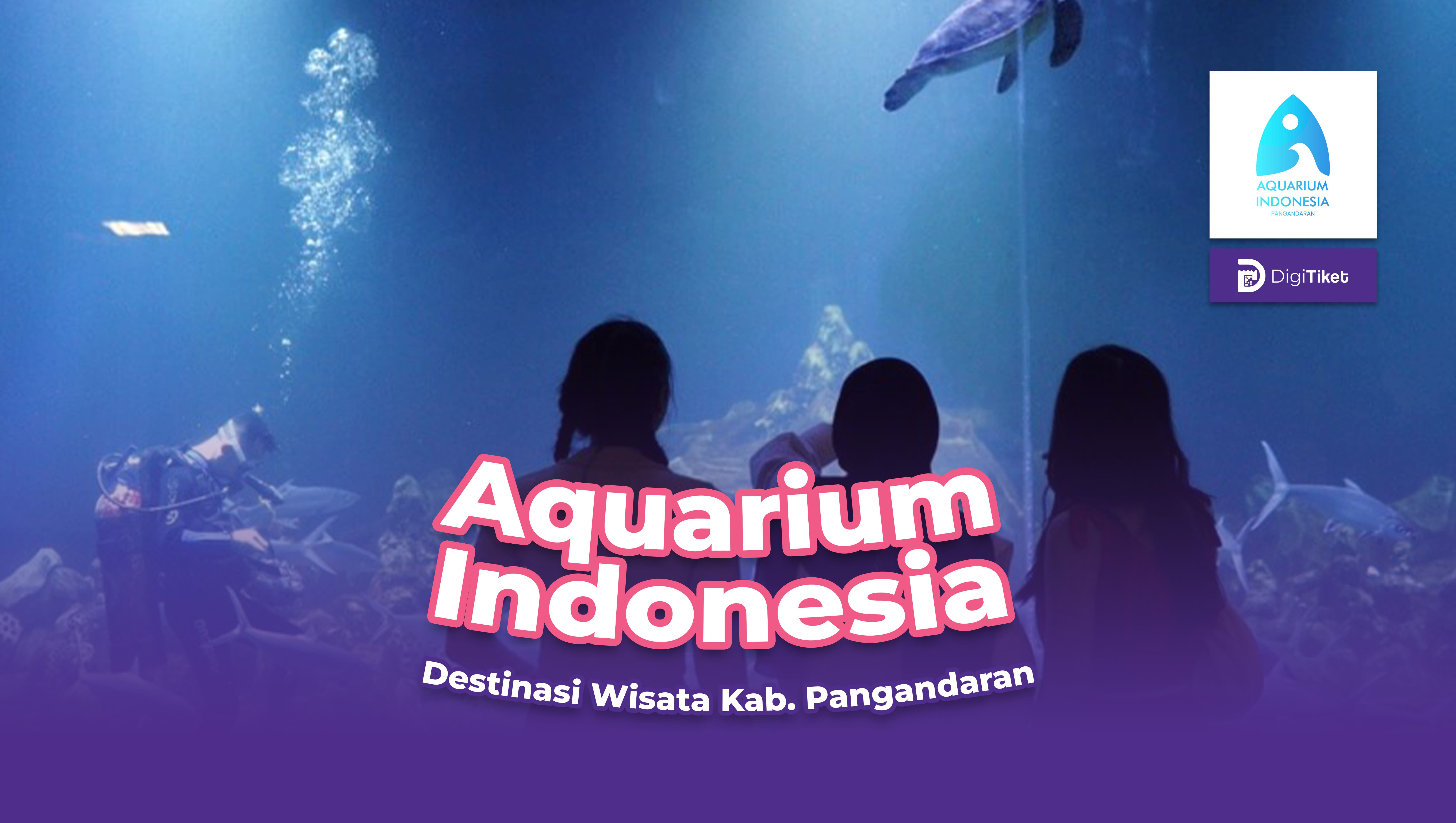 Aquarium Indonesia
