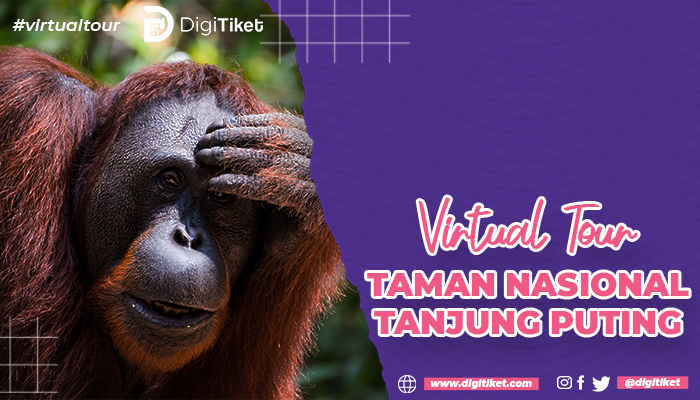 Virtual Tour Taman Nasional Tanjung Puting