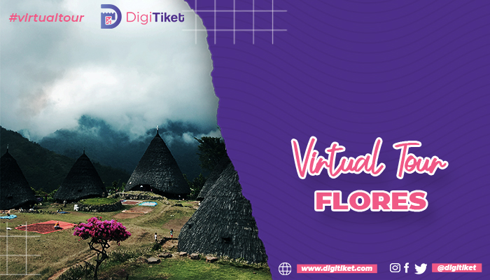 Virtual Tour Flores