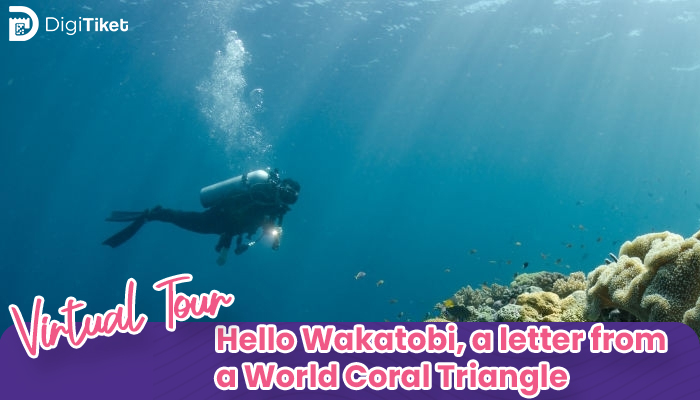 Virtual Tour Hello Wakatobi, a letter from a World Coral Triangle