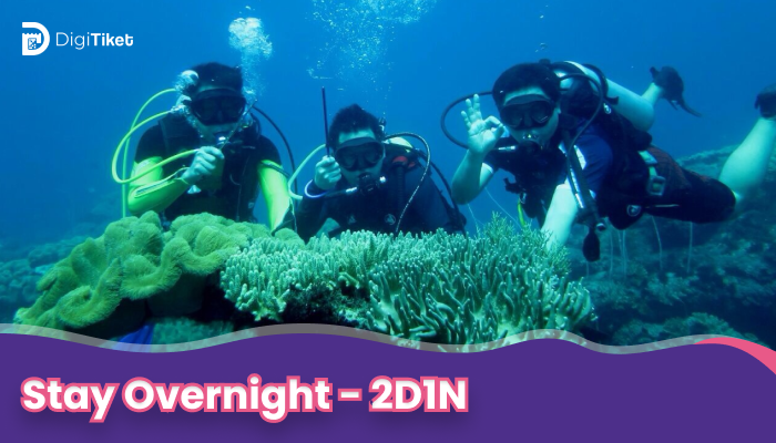Stay Overnight - 2D1N Pramuka Island Diving Package (with Certified Divers)