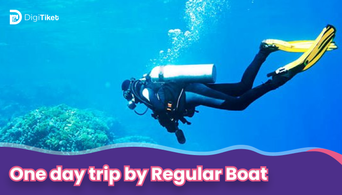One day trip by Regular Boat - Pramuka Island Diving Package (with Certified Divers)