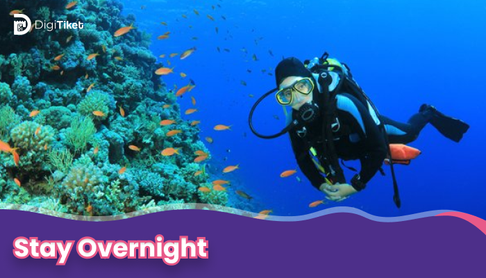 Package Stay overnight - Pramuka Island Basic Diver