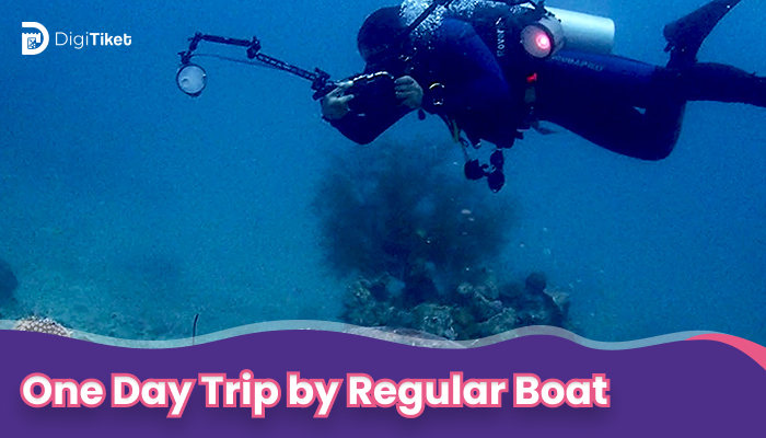 Package One day trip by Regular Boat - Pramuka Island Basic Diver