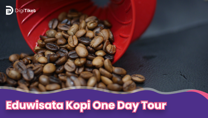 Eduwisata Kopi One Day Tour
